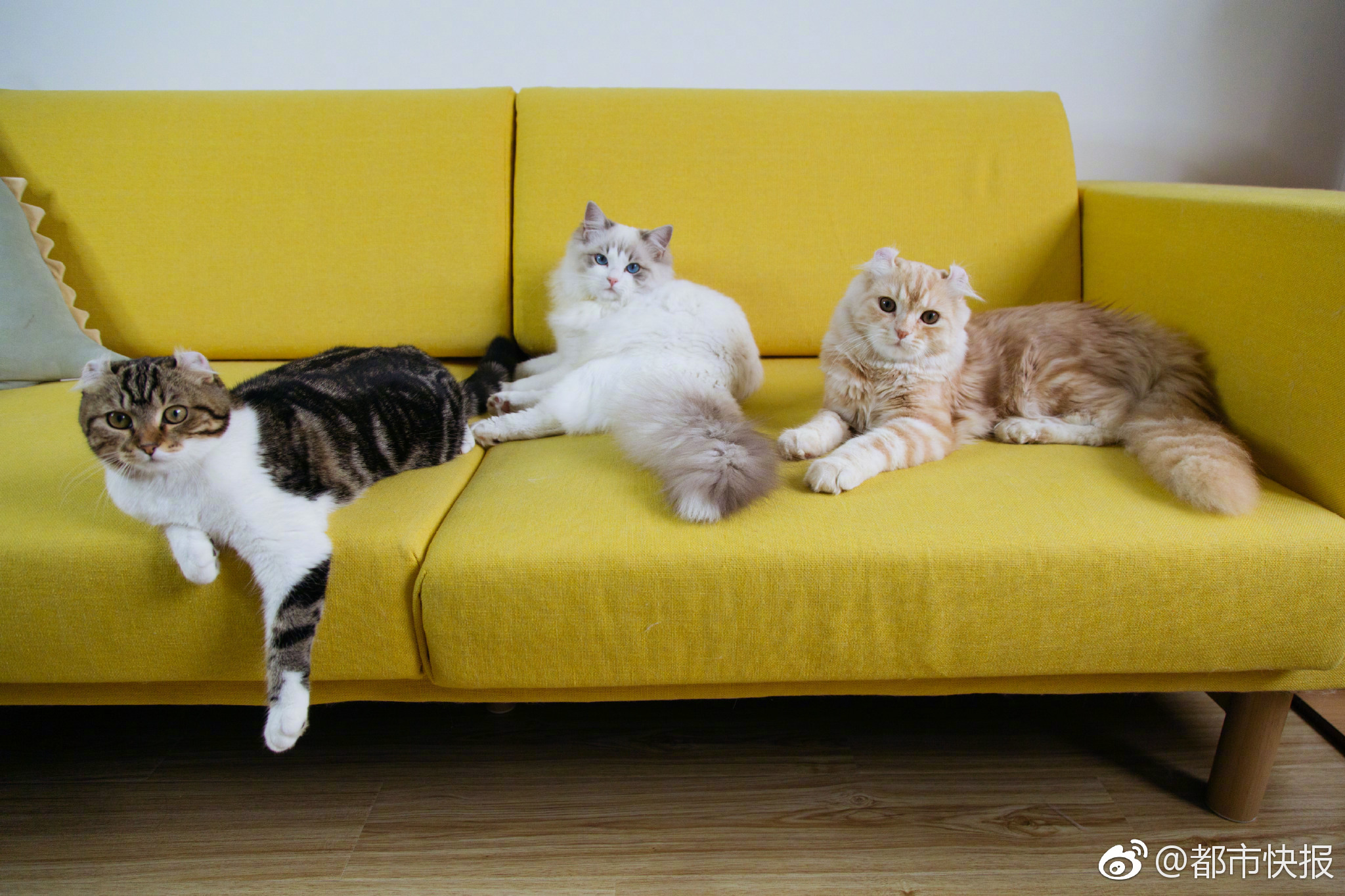 Poston Community Alliance Opens Registration for Oct. 21-22 Pilgrimage