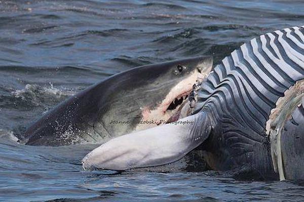 Beth Takekawa Named to Obama Administration Post