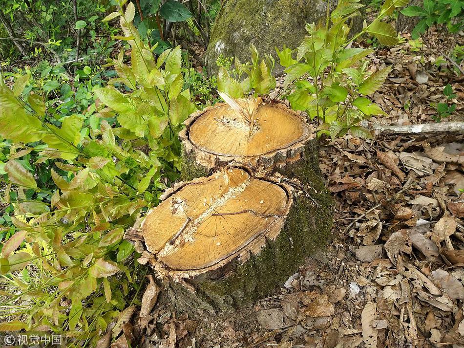 Hirahara’s ‘Clark and Division’ Nominated for Anthony Award