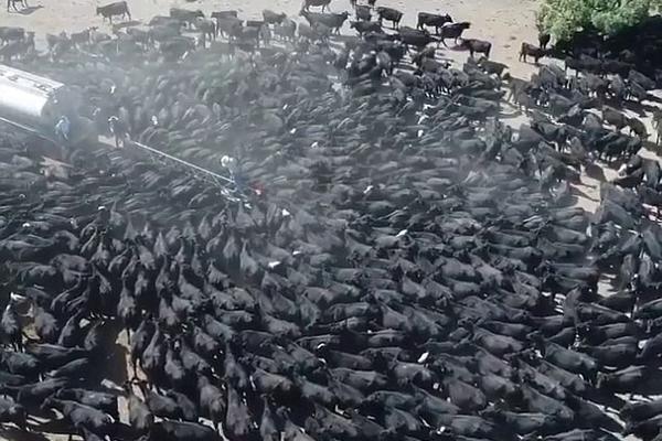 3 crypto dips to buy before the end of April