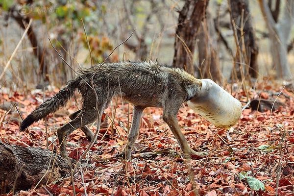 JANM Mourns the Passing of Sakaye Aratani