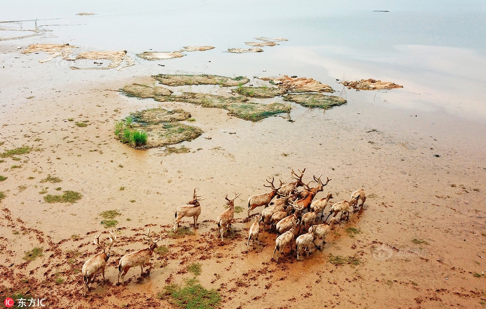 Poston Community Alliance Opens Registration for Oct. 21-22 Pilgrimage