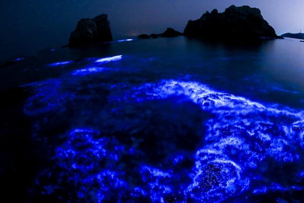 Results for API Candidates in OC School Board Races