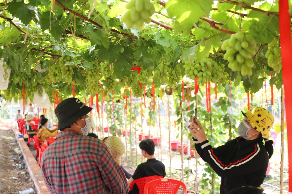 Arcadia Unified’s Karalee Nakatsuka Named State’s History Teacher of the Year